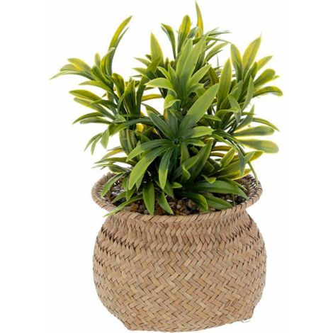 Plante Artificielle en Pot "Jiling" 20cm Beige (1/3)