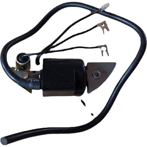 Bobine d'allumage haute performance G150 G200 G300 G400 - Noyau cuivre, installation facile (1/3)