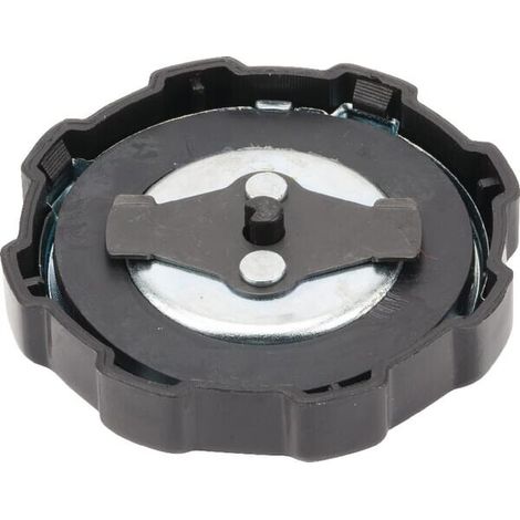 Tapón de combustible 550 750 VANGUARD 5.5 6.5 8 10HP BRIGGS&STRATTON 202043 794641