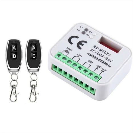 Interrupteur Ouverture Porte Garage - Récepteur Multifréquence 300/868 MHz - Module Relais 9 V-30 V - 2 Télécommandes - Blanc (1/5)