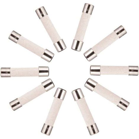 10 fusibili ceramici a ritardo (T) 10A / 250VAC 5x20mm-Crezuo