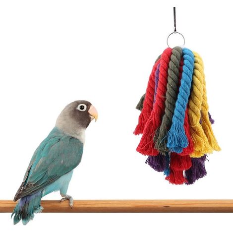Jouet à mâcher pour oiseaux, corde en coton colorée à suspendre, perchoir de recherche de nourriture, accessoire pour cage pour perruches, calopsittes et aras