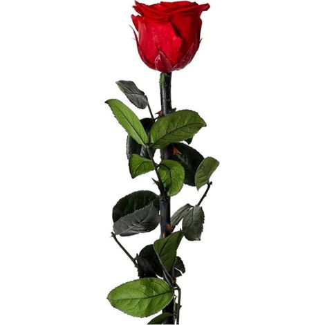 Fleur Artificielle "Rose sur Tige" 30cm Vert & Rouge (1/2)