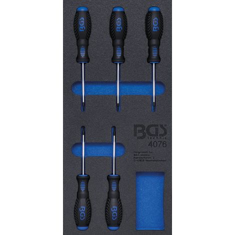 Insert de servante d'atelier 1/3 : Tournevis profil T (pour TX) 5 pièces BGS