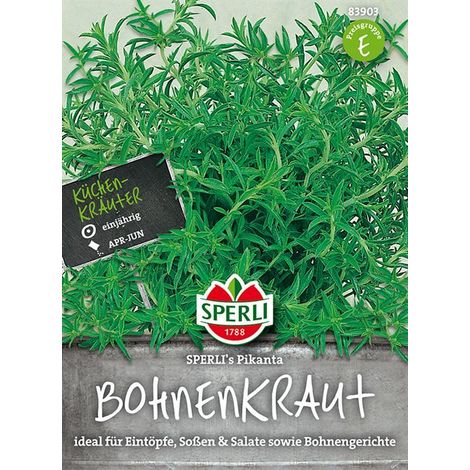 Sperli Bohnenkraut SPERLI´s Pikanta - Kräutersamen (1/4)