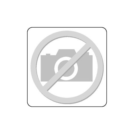 Ersatzteil ISO CHP-HS250BS Bruttogewicht 235,5g PRAMET (1/2)