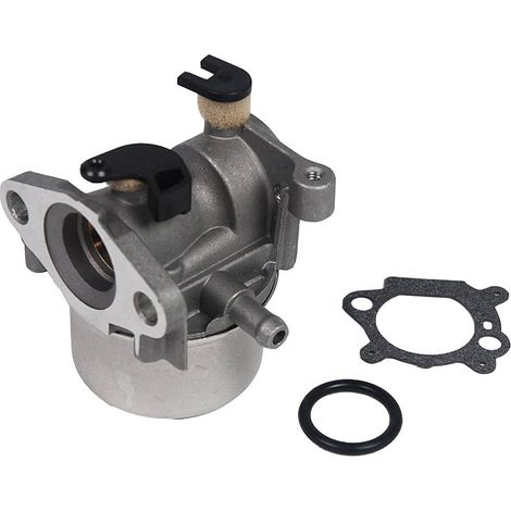 Carburateur pour Briggs & Stratton 799866 remplace 796707 794304 avec joint (1/4)