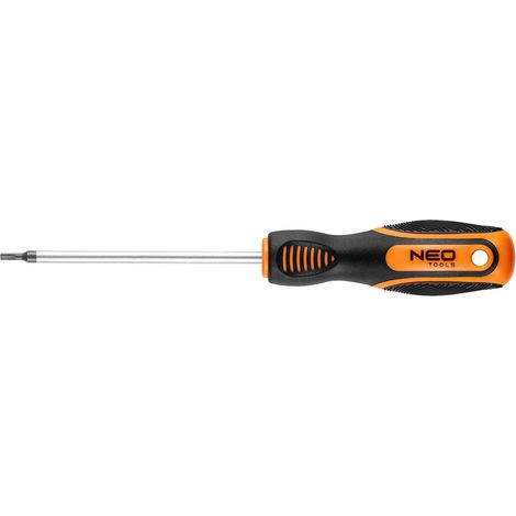 Torx-Schraubendreher T10 x 100 mm (1/5)