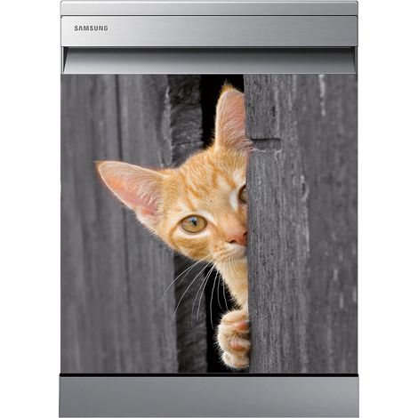 Stickers Lave vaisselle - Chat - 60x60 cm - Adhésif BRILLANT (1/2)