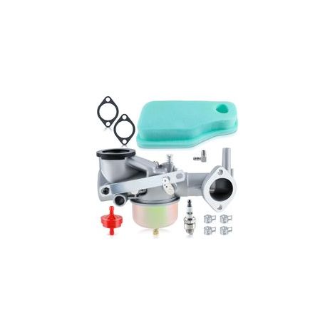 Carburateur 491590 pour Moteur B&S – Série 190702, 191707 – Avec Joint, Outils Nettoyage (1/5)