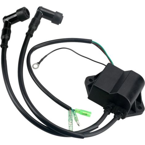 S-giant Boîtier d'allumage CDI pour moteur hors-bord Tohatsu 2 temps 8/9.8 chevaux - Compatible avec 3B2-06170-0 et 3B2061700.