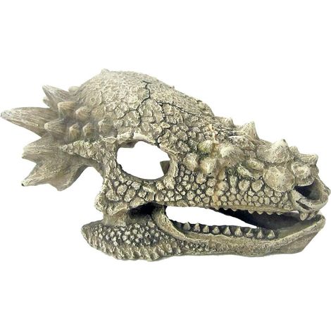 Teschio di Drago 15,3x10x80 cm decorazione per acquari