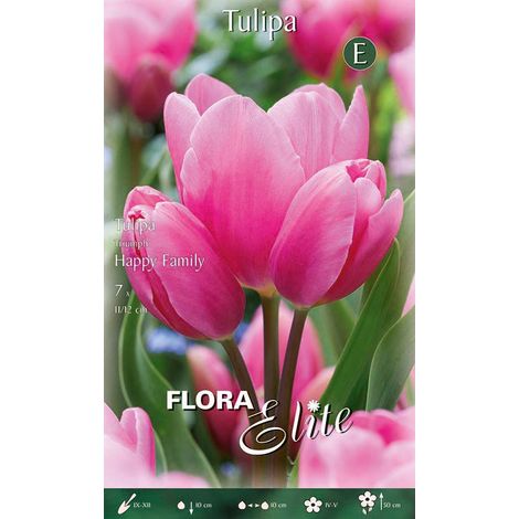 Bulbi di tulipano Multi-Flowering Longstemmed Happy Family (CONFEZIONE DA 7 BULBI)