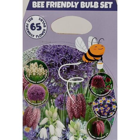Bulbi da Fiore Amici delle Api Varietà Miste 65 Bulbi