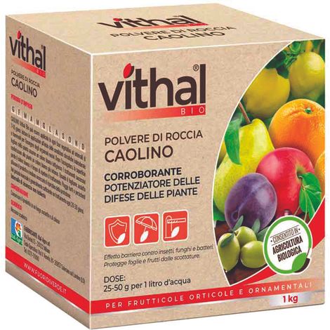 POLVERE DI ROCCIA CAOLINO VITHAL BIO  kg.1    VITHAL