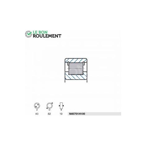 Roulement à rouleaux N40701H100-SNR