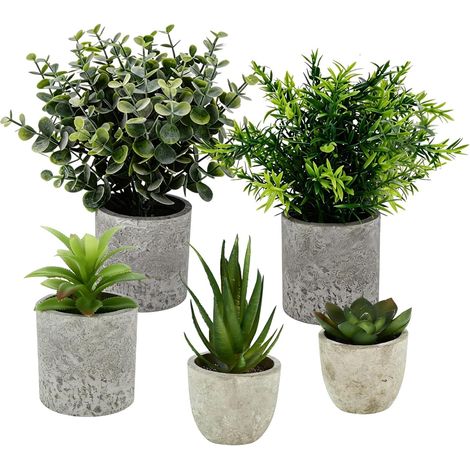 5 Pièces Plantes Artificielles Interieur, Mini Plantes Succulentes Agave, Aloe Griffe d'aigle, Serpentine, Plantes en Pot pour Décoration Bureau, Chambre, Cuisine et Salle de Bain (1/5)