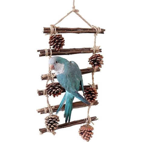 Cage à oiseaux de compagnie, perchoir en bois, échelle, hamac, jouet d'équilibre pour petits oiseaux