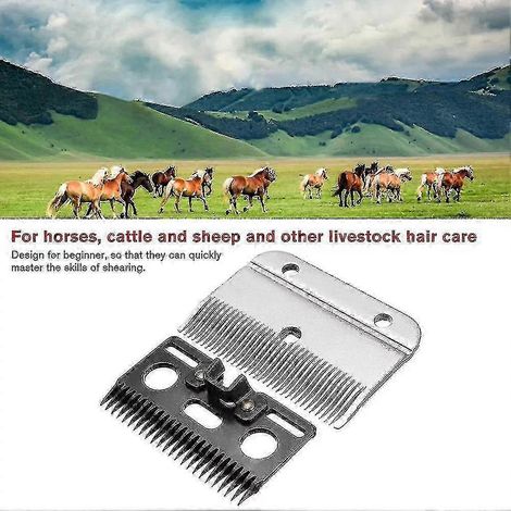 Lames de tondeuse moyennes A2 pour tondeuses Wolseley Liscop Liveryman 2025 (1/5)