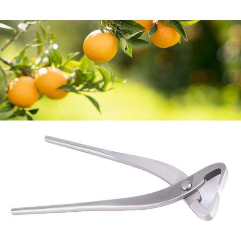 20 cm lange Gartenschere aus Chromlegierung, Gartenschere, Blumenschere, Astspalter, Bonsai-Schnittwerkzeug, Silber (1/5)