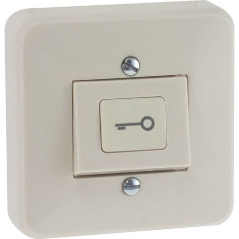 Bouton poussoir NO/NF avec symbole clé - EXS100K