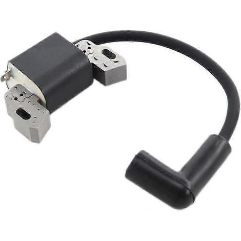 Bobine d'allumage avec bougie pour tondeuses Briggs & Stratton (1/5)
