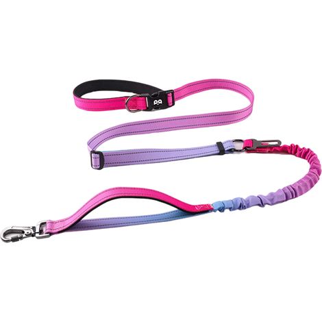 1 ceinture de course pour chien, mains libres, élastique, avec clip sécurité voiture, bandes réfléchissantes, poignée ergonomique (1/5)