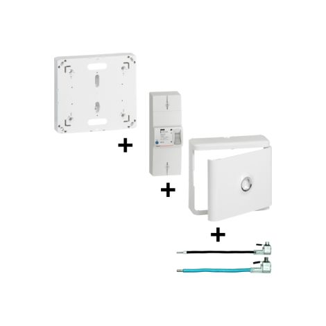 Legrand - Disjoncteur de branchement EDF + Platine + Habillage + Porte + Fouet Ph+N - Ru00e9f.: 401051+401191+401185+EBCPAU35M16B/N (1/5)