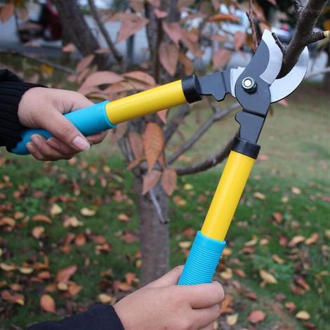 Ciseaux de Jardinage rétractables à Main Poignée inversée Sécateur Sécateur Outils de Jardin Bonsaï Sécateur Ciseaux de haie de Jardin (1/5)