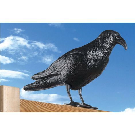 Vogelscheuche in Krähenform (1/5)
