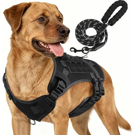 Harnais Chien Tactique avec Laisse Grand Chien,L (1/5)