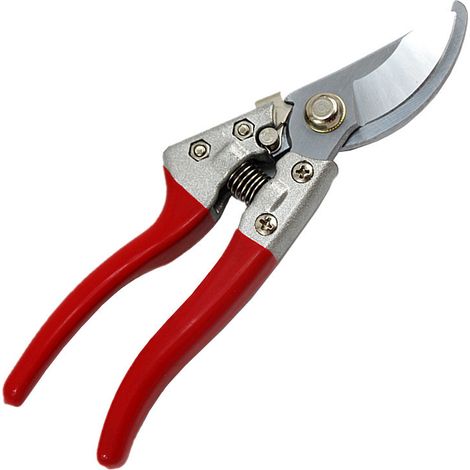 Sécateur manuel, cisaille de jardin de précision, à la construction robuste pour tous vos besoins de taille (Idéal comme cadeau de jardinage) (1/5)