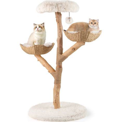 Moderner Katzenbaum mit Stamm aus Echtholz und Blumenplattform