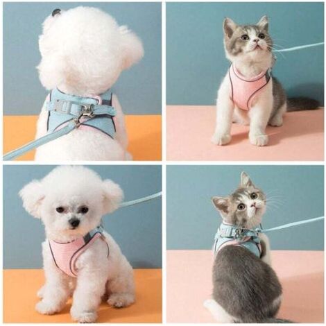 QORVA-Ensemble harnais et laisse pour chat, harnais anti-traction, respirant, réglable, et facile à promener pour petits chiens et chats (rose, S) (1/4)