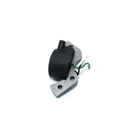 Bobina de encendido ZVD para motores fueraborda Johnson Evinrude 0582995 0584477 0580416 0582370 0582931 0580971 OMC 584477 580118 580197 580416 582370 582921 582995 Lawn-Boy 580184 582463 580198 5823 (1/4)