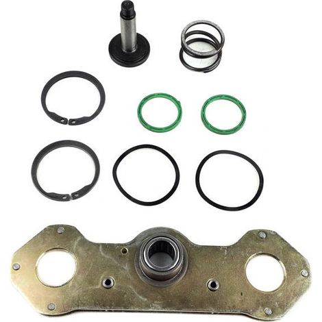 Kit de ajuste de caliper izquierdo DX 195 CF 104620, CFT 2241, DSL5L, 315501 (1/5)