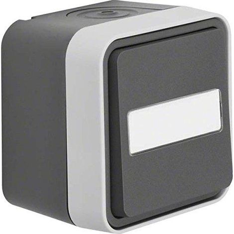 Berker W.1 pulsador gris diseño moderno IP55