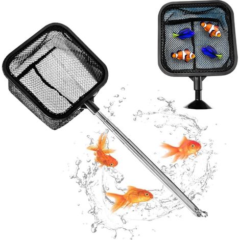 Épuisette d'aquarium – Filet d'isolation 2 en 1 pour aquarium - Petit filet de pêche en maille fine en acier inoxydable - Poignée réglable - Épuisette carrée pour attraper les petits poissons (1/5)