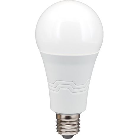 Alca power a65 19w 175-250v 2200lm 6000k e27 lampada classica a led (1/4)