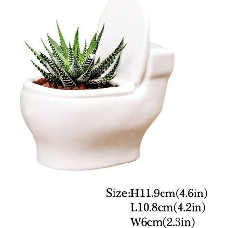 Lustiger Keramik-Blumentopf für Sukkulenten, niedliche Blumenvase, Keramik-Bonsai-Blumentopf, Wohndekoration, Mini-Blumentopf, Bürodekoration (1/3)