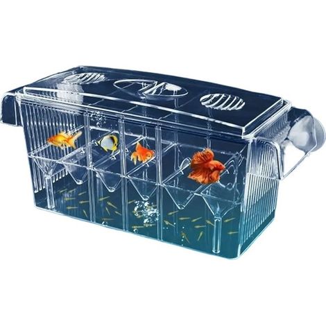 Box insulation for aquarium, incubateur, box livestock for guppys, fish tropicaux, incubators of small and wide size, room of ponte (1/5)