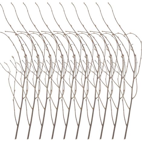 12 Pièces Branches de Bouleau Séchées Décoratives en Bois Marron pour Décoration Maison et Bureau, Forme Naturelle Réaliste pour Centre de Table ou Coin Décoratif (1/5)