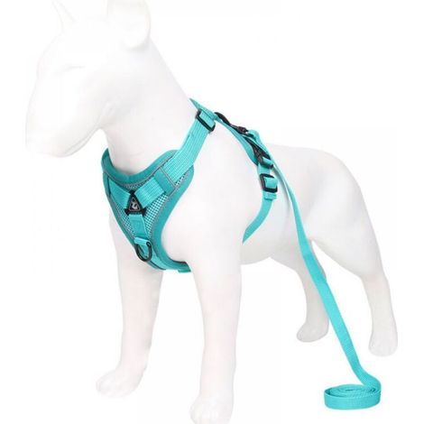 Harnais réglable Anti-éclatement pour Chat avec Laisse - Harnais Souple pour Chat - Harnais de Poitrine pour Chat - Chiot - Lac Bleu S (1/5)