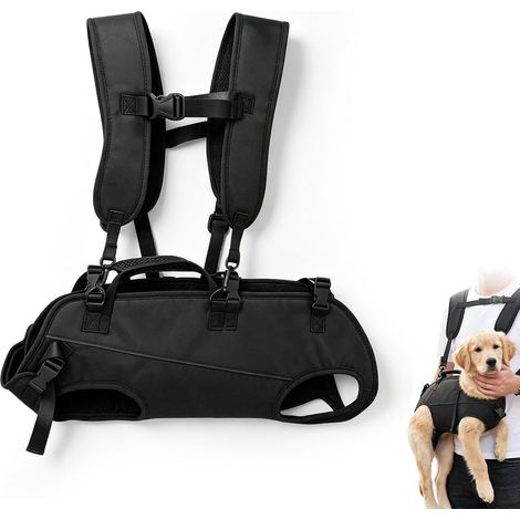 Aide de transport pour chien avec rembourrage réglable et sangle respirante (1/5)