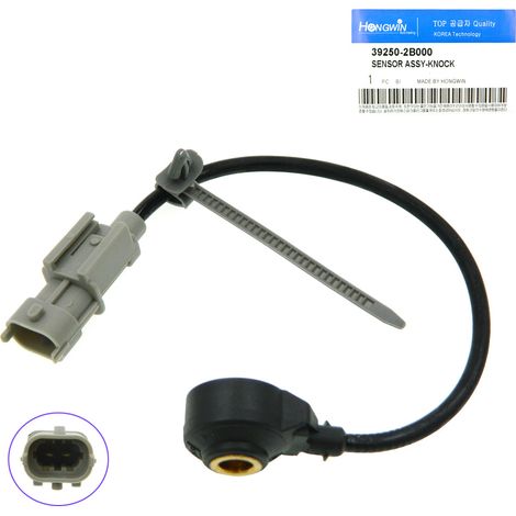 Capteur de cliquetis 39250-2B000 392502B000 pour véhicules Hyundai et Kia (1/5)