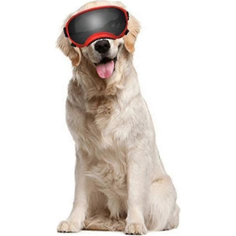 Lunettes de soleil pour chien, protection UV, contre le vent, la poussière et la buée, avec sangle réglable. (1/3)