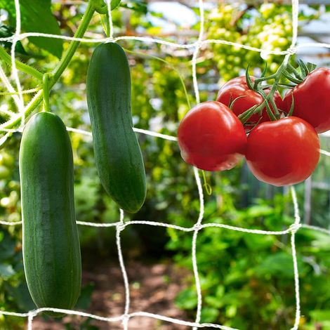 NineClouds Filet de Jardin Treillis en Polyester Filet pour Plantes Grimpantes Fruits Concombres Pois Tomates Haricots 10 x 1,67 m (1/5)
