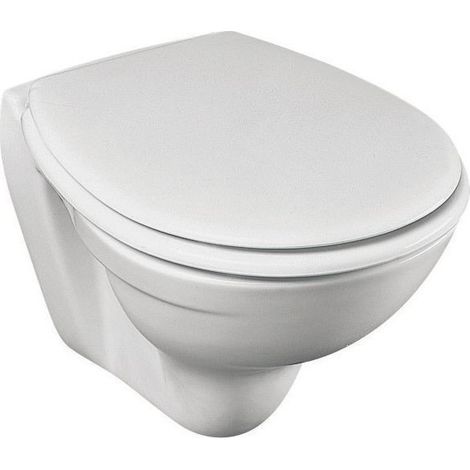 Cuvette suspendue PATIO ss bride (1/2)