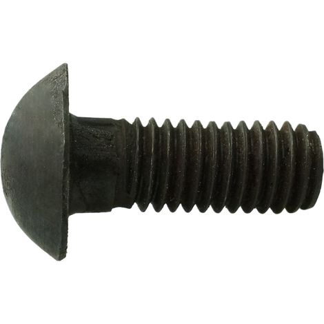Reidl DIN 607 Halbrundschraube mit Nase M 12 x 35, 4.6 blank (1/3)