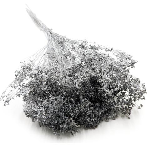 Flor de retama seca - Retama - Plata (1/5)